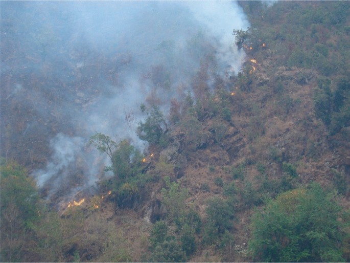 Introductory Course on Forest Fire Risk Reduction and Management